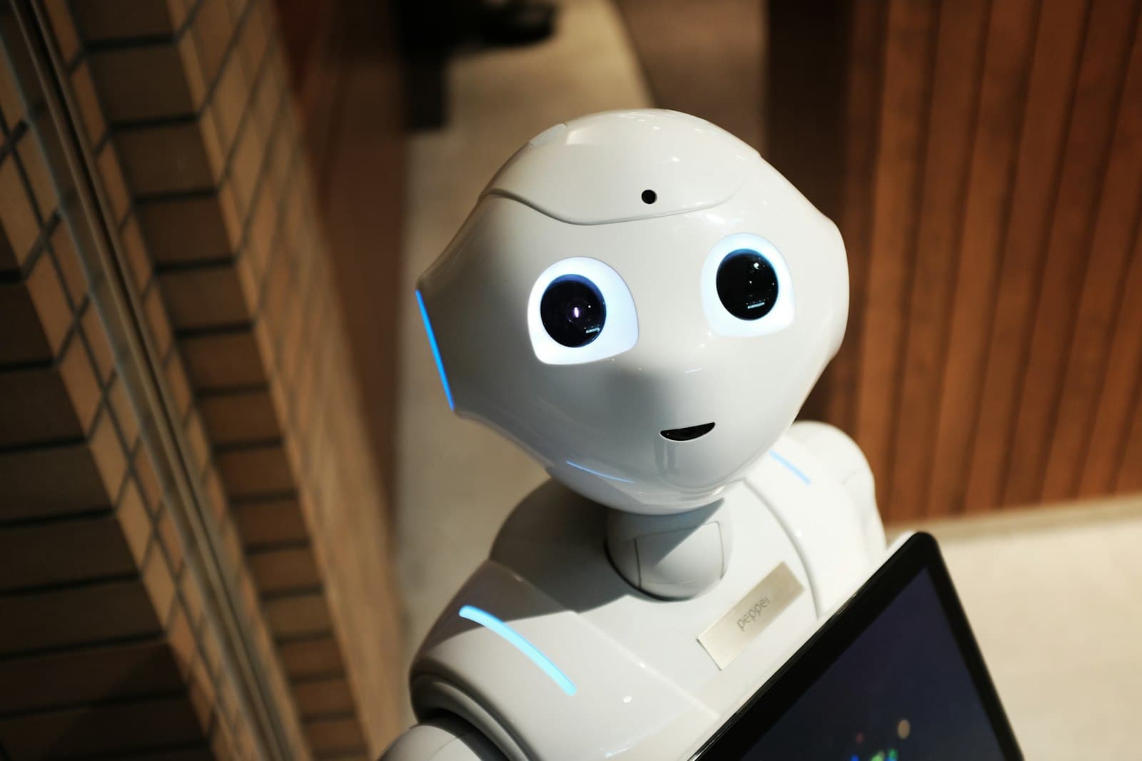 Friendly service robot looking at the camera